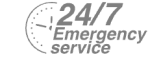 24/7 Emergency Service Pest Control in West Brompton, World's End, SW10. Call Now! 020 8166 9746